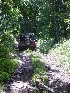 Gino on Stone Camp Rd